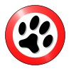 Paws Explore safer searching